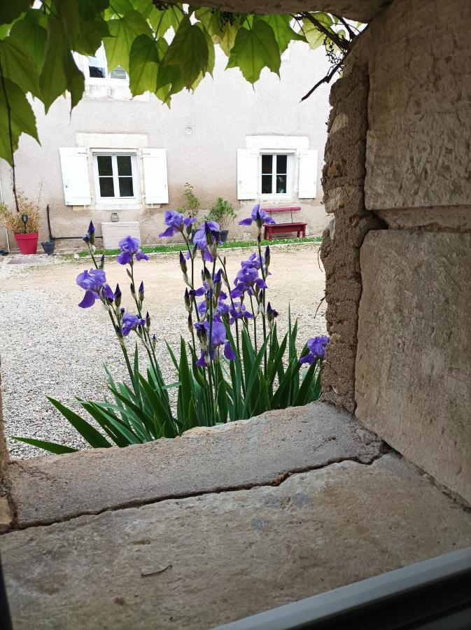 Les Iris - Chambre Erable Avanton Zewnętrze zdjęcie